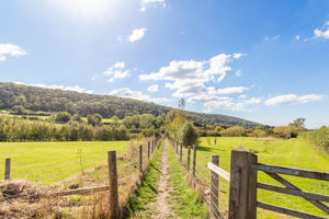 Photo 37- click for photo gallery